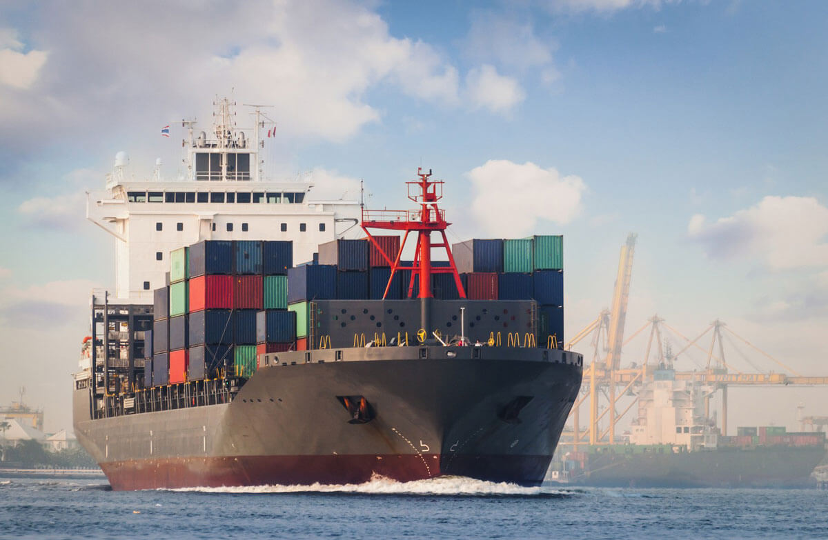 Nosotros, Servicio de logístico y transporte, SCX logística
